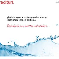realturfw realturfw